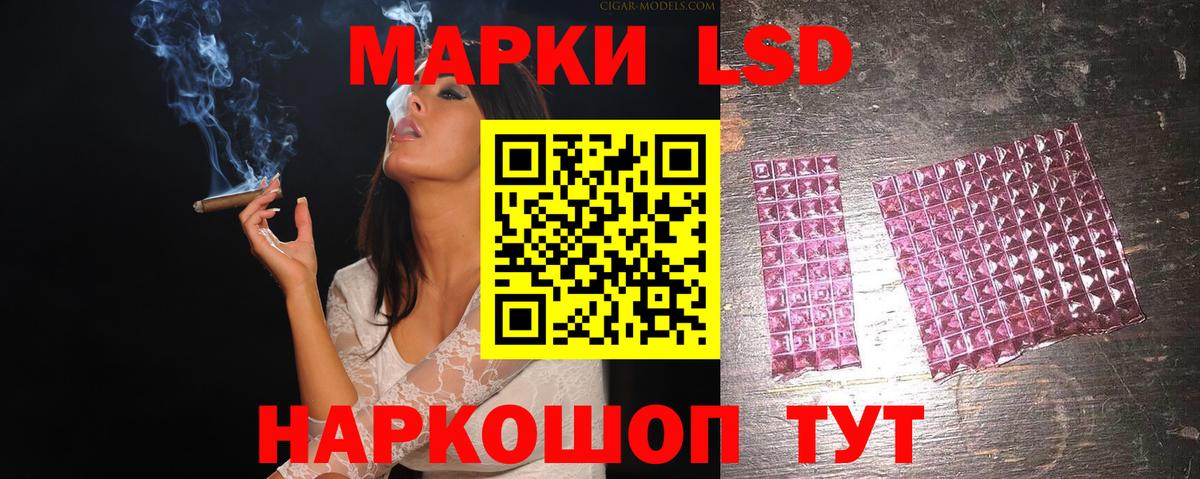 Новозыбков  Лсд 25 экстази кислота  Лсд 25 экстази кислота  Лсд 25 экстази  Вход с VPN 