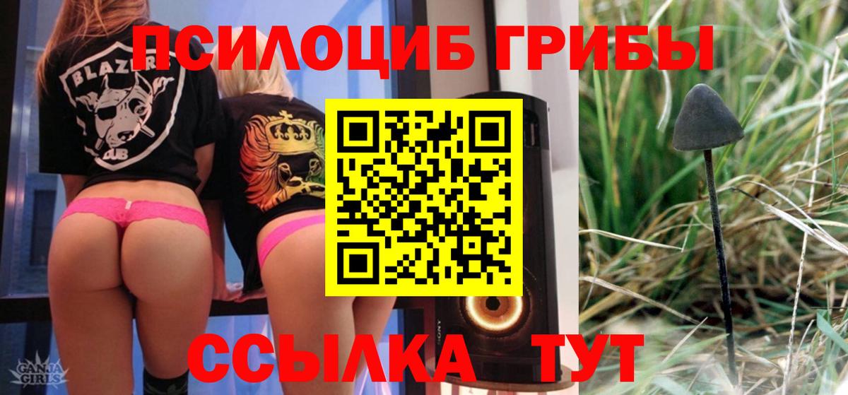 Новозыбков  Псилоцибиновые грибы мухоморы  Вход с VPN 