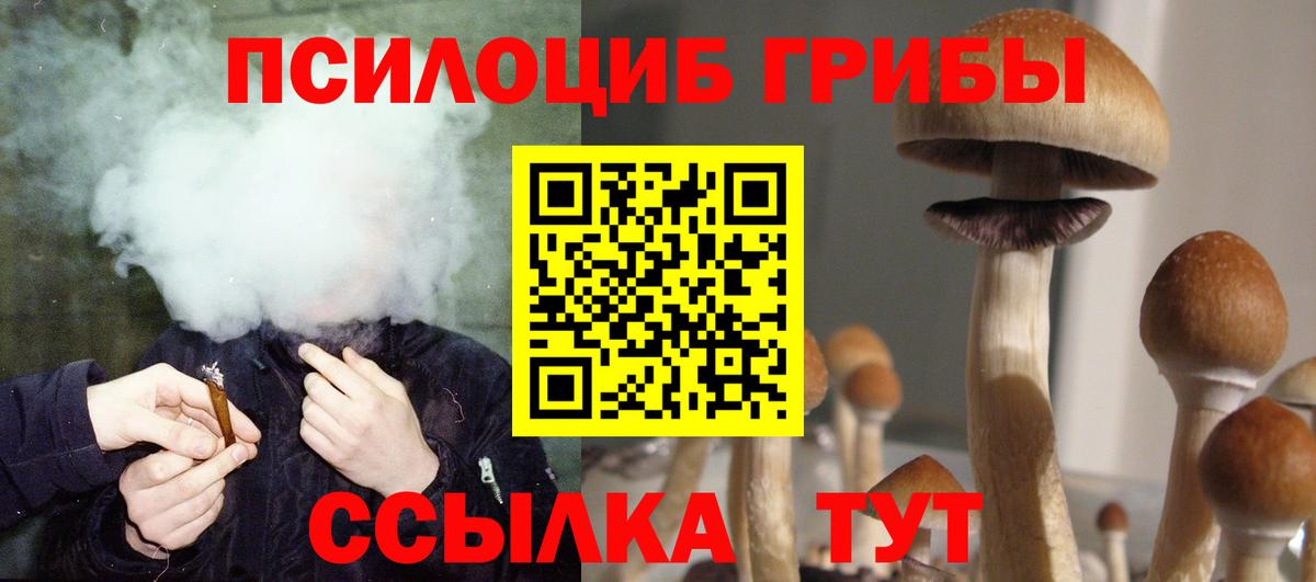Псилоцибиновые грибы прущие грибы Новозыбков
